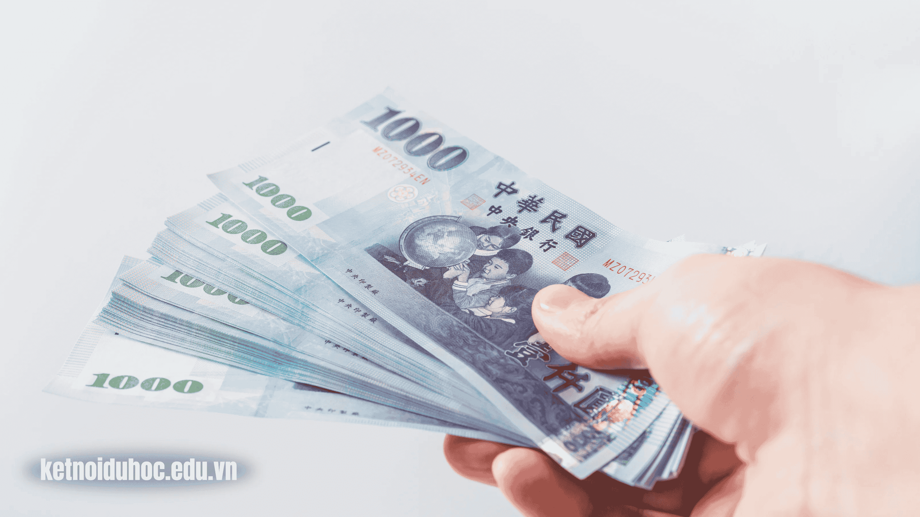 FAQs Thắc mắc liên quan về du học Đài Loan nên học ngành gì